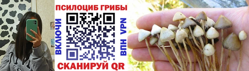 Галлюциногенные грибы Psilocybe  Чишмы 
